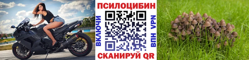 Псилоцибиновые грибы мухоморы  Купить закладки  Болгар 