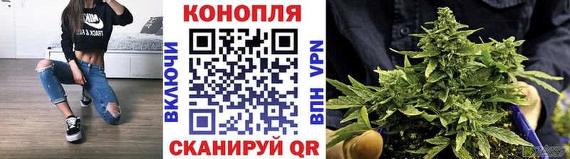Купить  Болгар  Шишки марихуана сатива 